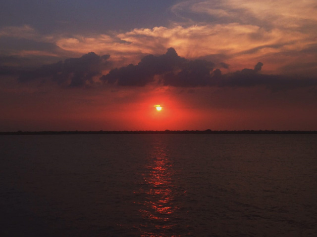 amazonia-3