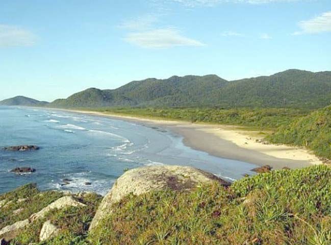 ilha-do-cardoso