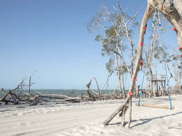 litoral-oeste-cavalo-marinho